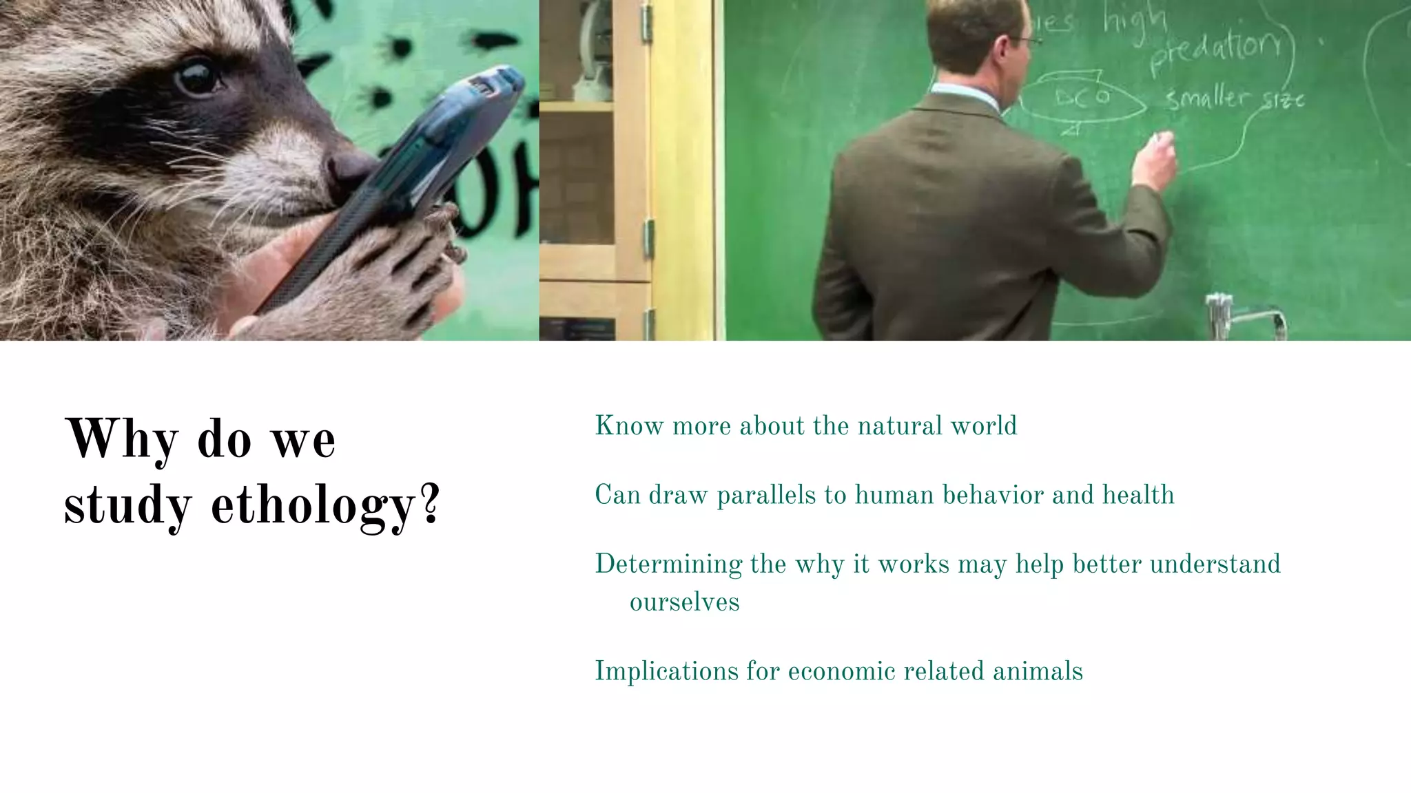 Why do we
study ethology?
Know more about the natural world
Can draw parallels to human behavior and health
Determining the why it works may help better understand
ourselves
Implications for economic related animals
 