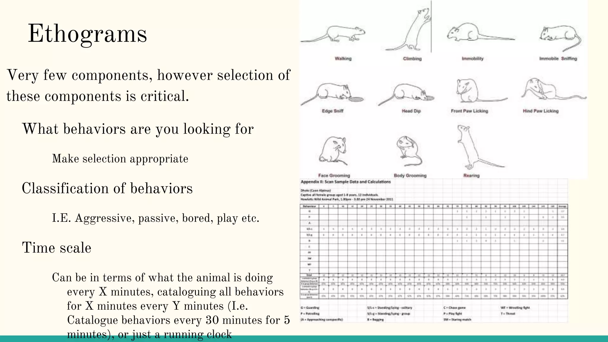 Ethograms
Very few components, however selection of
these components is critical.
What behaviors are you looking for
Make selection appropriate
Classification of behaviors
I.E. Aggressive, passive, bored, play etc.
Time scale
Can be in terms of what the animal is doing
every X minutes, cataloguing all behaviors
for X minutes every Y minutes (I.e.
Catalogue behaviors every 30 minutes for 5
minutes), or just a running clock
 