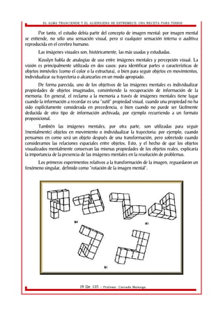 EL ALMA TRASCIENDE Y EL ALIENIGENA SE ESTREMECE: UNA RECETA PARA TODOS 
Por tanto, el estudio debía partir del concepto de imagen mental: por imagen mental 
se entiende, no sólo una sensación visual, pero si cualquier sensación interna o auditiva 
reproducida en el cerebro humano. 
Las imágenes visuales son, históricamente, las más usadas y estudiadas. 
Kosslyn habla de analogías de uso entre imágenes mentales y percepción visual. La 
visión es principalmente utilizada en dos casos: para identificar partes o características de 
objetos inmóviles (como el color o la estructura), o bien para seguir objetos en movimientos, 
individualizar su trayectoria o alcanzarlos en un modo apropiado. 
De forma parecida, uno de los objetivos de las imágenes mentales es individualizar 
propiedades de objetos imaginados, consintiendo la recuperación de información de la 
memoria. En general, el reclamo a la memoria a través de imágenes mentales tiene lugar 
cuando la información a recordar es una “sutil” propiedad visual, cuando una propiedad no ha 
sido explícitamente considerada en precedencia, o bien cuando no puede ser fácilmente 
deducida de otro tipo de información archivada, por ejemplo recurriendo a un formato 
proposicional. 
También las imágenes mentales, por otra parte, son utilizadas para seguir 
(mentalmente) objetos en movimiento o individualizar la trayectoria: por ejemplo, cuando 
pensamos en como será un objeto después de una transformación, pero sobretodo cuando 
consideramos las relaciones espaciales entre objetos. Esto, y el hecho de que los objetos 
visualizados mentalmente conservan las mismas propiedades de los objetos reales, explicaría 
la importancia de la presencia de las imágenes mentales en la resolución de problemas. 
Los primeros experimentos relativos a la transformación de la imagen, reguardaron un 
fenómeno singular, definido como “rotación de la imagen mental”. 
19 De 135 - Profesor. Corrado Malanga 
 