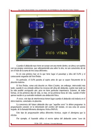 EL ALMA TRASCIENDE Y EL ALIENIGENA SE ESTREMECE: UNA RECETA PARA TODOS 
Cuando el abducido nace tiene un cuerpo con una mente dentro, un alma y un espíritu 
con sus propias conciencias, que sobreponiendo una sobre la otra, no son conscientes de de 
ser el fruto de la suma de tres cosas diferentes. 
Es en esta primera fase en la que tiene lugar el parasitaje y obra del LUX y el 
consecuente enganche del Seis Dedos. 
En particular, el LUX parásita al sujeto antes de que se separe físicamente de la 
placenta materna. 
El Seis Dedos, como está descrito en Alien Cicatrix, sin embargo, intervendrá más 
tarde, cuando le sea cómodo utilizar los recursos del alma del abducido; cuánto más tarde no 
ha sido posible averiguarlo aún, pero no tiene particular importancia. Estamos, de todas 
formas, en los primeros días de vida, es más, en las primeras horas de vida, cuando el bebe 
apenas nacido es ya sustraído mediante una abducción física. 
A veces, este tipo de interferencias tienen lugar cuando el abducido está todavía en el 
útero materno, conectado a la placenta. 
La conciencia del futuro abducido dice que “aquellos seres” lo deben programar: la 
programación consiste en la intromisión del cerebro del nonato, en una zona de acceso 
negado, de la llamada Memoria alienígena Activa (MAA). 
Este tipo de programación utiliza diferentes técnicas, según el alienígena que la 
efectúa. 
Por ejemplo, el Sauroide utiliza el nervio óptico del abducido como “cavo de 
8 De 135 - Profesor. Corrado Malanga 
 