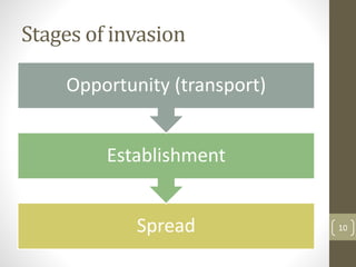 Stages of invasion
Spread
Establishment
Opportunity (transport)
10
 