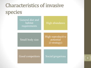 Characteristics of invasive
species
General diet and
habitat
requirements
High abundance
Small body size
High reproductive
potential
(r-strategy)
Good competitors Social/gregarious
9
 