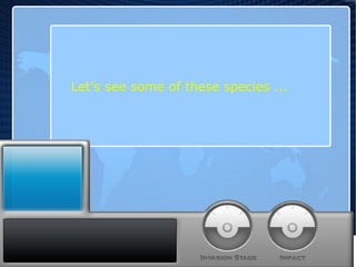 Let's see some of these species ... 