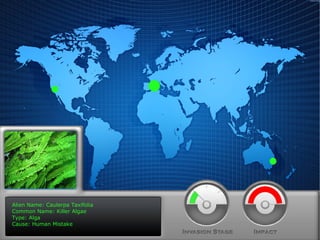 Alien Name: Caulerpa Taxifolia Common Name: Killer Algae Type: Alga Cause: Human Mistake 