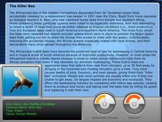 The Killer Bee The Africanized bee in the western hemisphere descended from 26 Tanzanian queen bees  accidentally released by a replacement bee-keeper in 1957 near Rio Claro, Brazil from hives operated by biologist Warwick E. Kerr, who had interbred honey bees from Europe and southern Africa.  Hives containing these particular queens were noted to be especially defensive. Kerr was attempting  to breed a strain of bees that would be better adapted to tropical conditions (i.e., more productive)  than the European bees used in South America and southern North America. The hives from which  the bees were released had special excluder grates which were in place to prevent the larger queen  bees from getting out but to allow the drones free access to mate with the queen. Unfortunately,  following the accidental release, the African queens eventually mated with local drones, and their  descendants have since spread throughout the Americas. The Africanized hybrid bees have become the preferred type of bee for beekeeping in Central America and in tropical areas of South America because of improved productivity. However, in most areas the  Africanized hybrid is initially feared because it tends to retain certain behavioral traits from its  African ancestors that make it less desirable for domestic beekeeping. These hybrid bees are  Alien Name: Apis Mellifera Scutellata Common Name: Killer Bee Type: Insect Cause: Human Mistake aggressive bees that defend their nest from intruders up to 50 feet away by stinging in the hundreds and chasing intruders up to a mile. They have caused deaths of pets, livestock, and even people, giving them their "killer bee" nickname. People and other animals are usually killed only if they are unable to get away. Its largest impacts are economic and ecological. They affect the beekeeping industry by competing with native bee species, causing them to produce less honey and taking over the bees nest by killing its queen and replacing it with their own. 