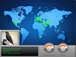 Alien Name: Sturnus Vulgaris Common Name: Starling Type: Bird Cause: Human Introduction 