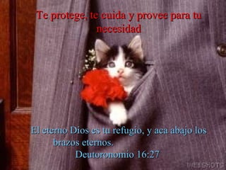 Te protege, te cuida y provee para tu necesidad El eterno Dios es tu refugio, y aca abajo los brazos eternos.  Deutoronomio 16:27  
