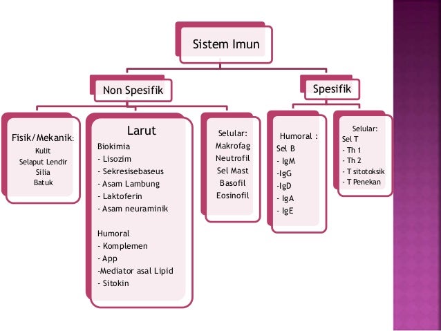 Alif Imunologi Non Spesifik