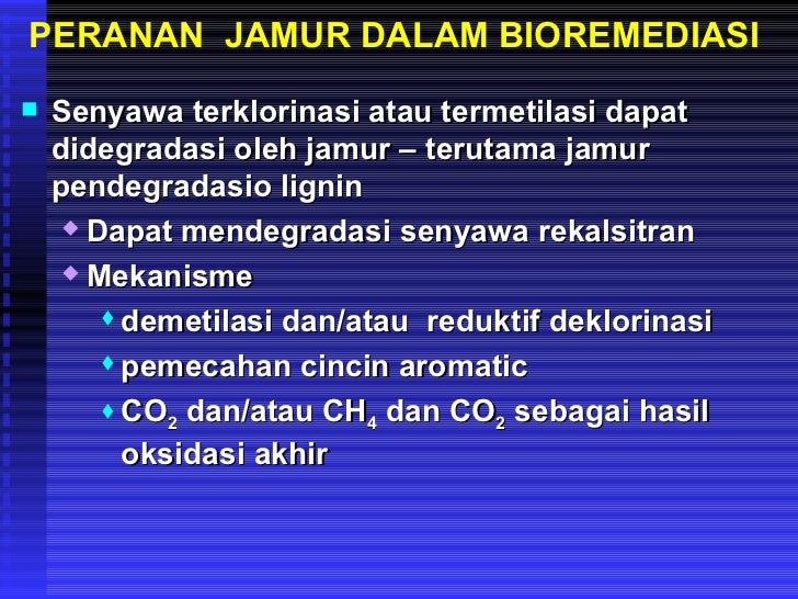 Alifatik Aromatik