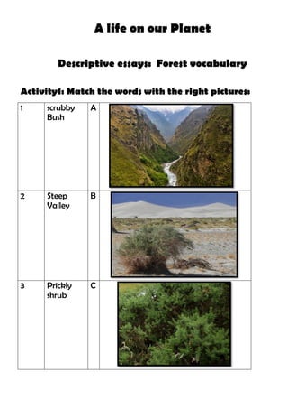 A life on our Planet
Descriptive essays: Forest vocabulary
Activity1: Match the words with the right pictures:
1 scrubby
Bush
A
2 Steep
Valley
B
3 Prickly
shrub
C
 