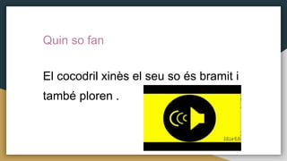 Quin so fan
El cocodril xinès el seu so és bramit i
també ploren .
 
