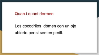 Quan i quant dormen
Los cocodrilos domen con un ojo
abierto per si senten perill.
 