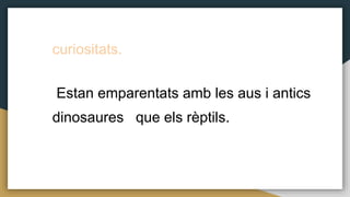 curiositats.
Estan emparentats amb les aus i antics
dinosaures que els rèptils.
 