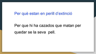 Per què estan en perill d’extinció
Per que hi ha cazados que matan per
quedar se la seva pell.
 
