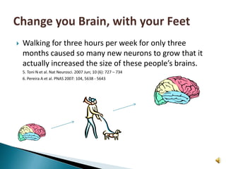 Walking for three hours per week for only three months caused so many new neurons to grow that it actually increased the size of these people’s brains.	5. Toni N et al. Nat Neurosci. 2007 Jun; 10 (6): 727 – 734	6. Pereira A et al. PNAS 2007: 104, 5638 - 5643Change you Brain, with your Feet