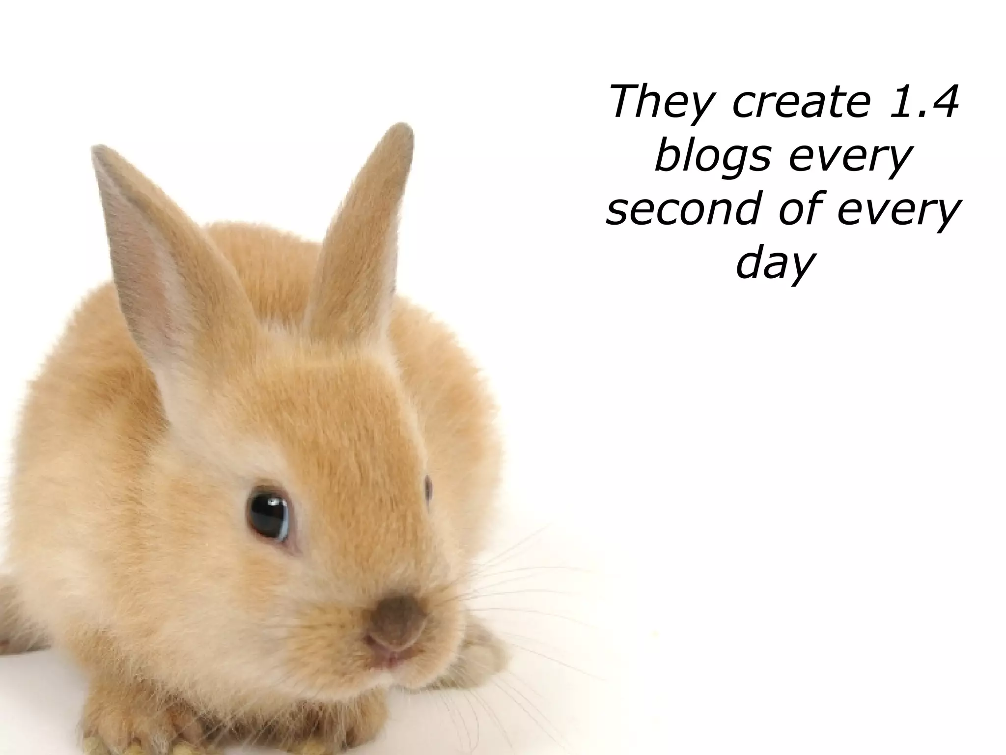 They create 1.4 blogs every second of every day