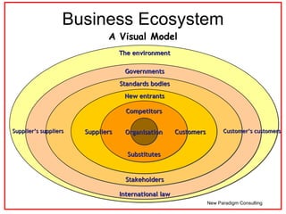 A Visual Model Business Ecosystem New Paradigm Consulting The environment International law Governments Standards bodies S...
