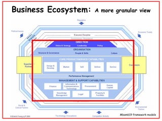 Business Ecosystem:  A more granular view Mbam619 framework models 