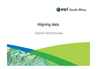 Aligning data

Sabata Mcatshulwa
 