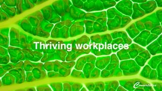 Thriving workplaces!

 