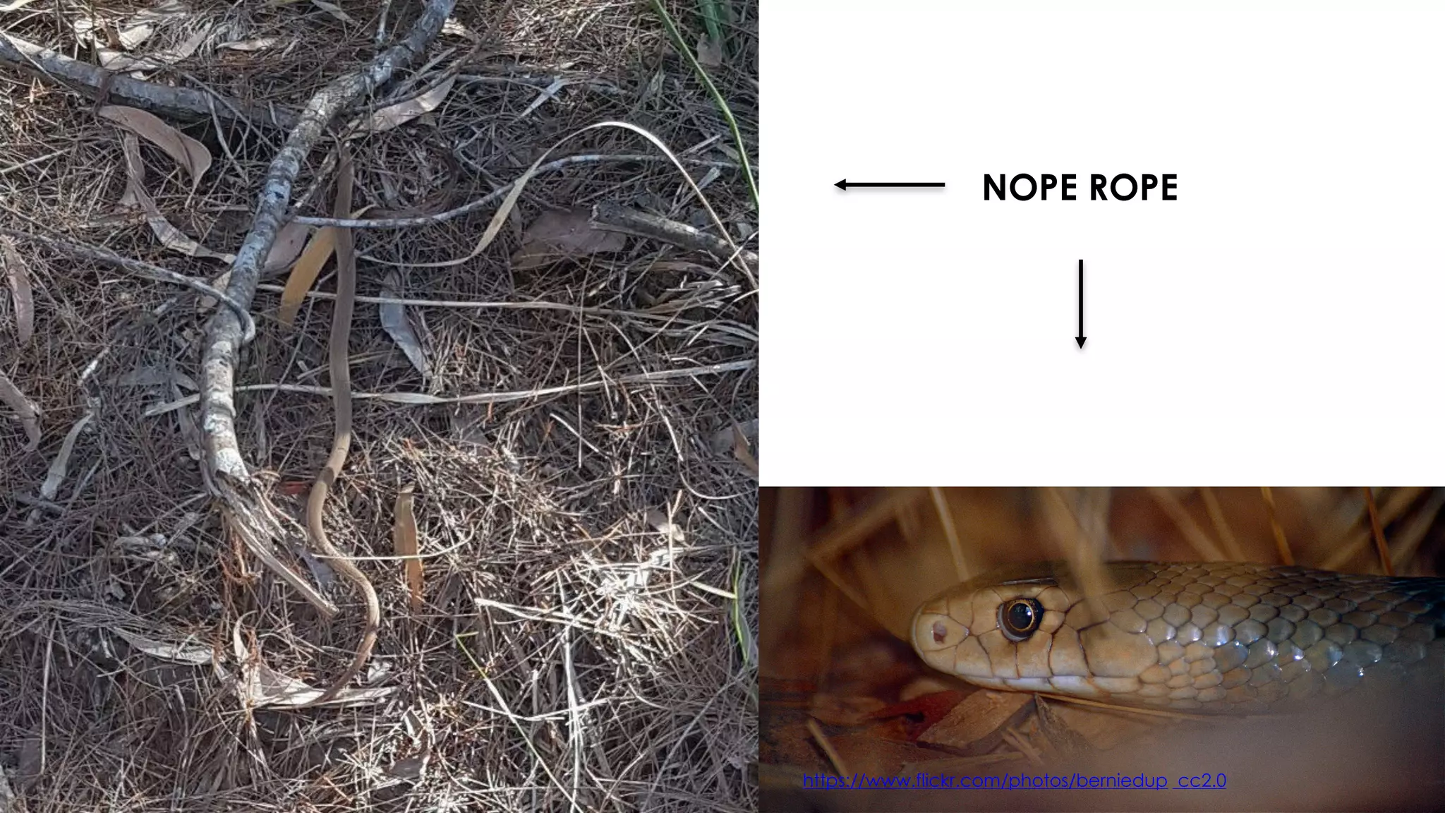 NOPE ROPE
https://www.flickr.com/photos/berniedup cc2.0
 