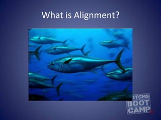 What is Alignment?