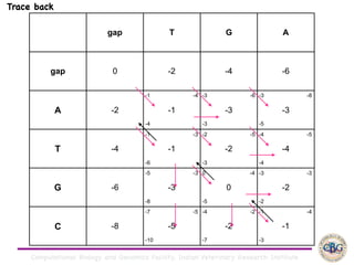 Computational Biology and Genomics Facility, Indian Veterinary Research Institute
gap T G A
gap 0 -2 -4 -6
A -2
-1 -4
-1
-4
-3 -6
-3
-3
-3 -8
-3
-5
T -4
-1 -3
-1
-6
-2 -5
-2
-3
-4 -5
-4
-4
G -6
-5 -3
-3
-8
0 -4
0
-5
-3 -3
-2
-2
C -8
-7 -5
-5
-10
-4 -2
-2
-7
-1 -4
-1
-3
Trace back
 