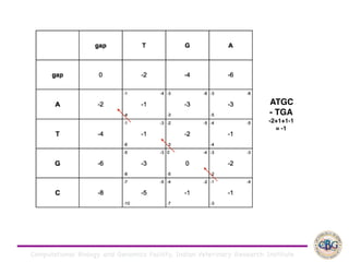 Computational Biology and Genomics Facility, Indian Veterinary Research Institute
ATGC
- TGA
-2+1+1-1
= -1
 