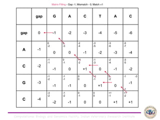 Computational Biology and Genomics Facility, Indian Veterinary Research Institute
Matrix Filling - Gap -1; Mismatch - 0; Match +1
gap G A C T A C
gap 0 -1 -2 -3 -4 -5 -6
A -1
0
-2
0
-2
0
-3
0
-1
-2
-4
-1
-1
-3
-5
-2
-2
-3
-6
-3
-3
-5
-7
-4
-4
C -2
-1
-1
-1
-3
0
-1
0
-2
+1
-2
+1
-1
-1
-3
0
0
-2
-4
-1
-1
-3
-5
-2
-2
G -3
-1
-2
-1
-4
-1
-1
-1
-2
0
0
0
-2
+1
-1
+1
-1
0
-2
0
0
-1 -3
-1
-1
C -4
-3
-2
-2
-5
-1
-2
-1
-3
0
-1
0
-2
0
0
0
-1
+1
-1
+1
-1
+1
-2
+1
0
 