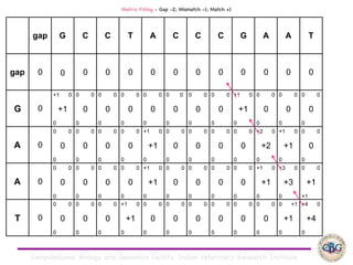 Computational Biology and Genomics Facility, Indian Veterinary Research Institute
gap G C C T A C C C G A A T
gap 0 0 0 0 0 0 0 0 0 0 0 0 0
G 0
+1 0
+1
0
0 0
0
0
0 0
0
0
0 0
0
0
0 0
0
0
0 0
0
0
0 0
0
0
0 0
0
0
+1 0
+1
0
0 0
0
0
0 0
0
0
0 0
0
0
A 0
0 0
0
0
0 0
0
0
0 0
0
0
0 0
0
0
+1 0
+1
0
0 0
0
0
0 0
0
0
0 0
0
0
0 0
0
0
+2 0
+2
0
+1 0
+1
0
0 0
0
0
A 0
0 0
0
0
0 0
0
0
0 0
0
0
0 0
0
0
+1 0
+1
0
0 0
0
0
0 0
0
0
0 0
0
0
0 0
0
0
+1 0
+1
0
+3 0
+3
0
0 0
+1
+1
T 0
0 0
0
0
0 0
0
0
0 0
0
0
+1 0
+1
0
0 0
0
0
0 0
0
0
0 0
0
0
0 0
0
0
0 0
0
0
0 0
0
0
0 +1
+1
0
+4 0
+4
0
Matrix Filling - Gap -2; Mismatch -1; Match +1
 