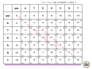 Computational Biology and Genomics Facility, Indian Veterinary Research Institute
gap A T G G C G T
gap 0 -2 -4 -6 -8 -10 -12 -14
A -2
+1 -4
+1
-4
-3 -6
-1
-1
-5 -8
-3
-3
-7 -10
-5
-5
-9 -12
-7
-7
-11 -14
-9
-9
-13 -16
-11
-11
T -4
-3 -1
-1
-6
+2 -3
+2
-3
-2 -5
0
0
-4 -7
-2
-2
-6 -9
-4
-4
-8 -11
-6
-6
-8 -13
-8
-8
G -6
-5 -3
-3
-8
-2 0
0
-5
+3 -2
+3
-2
+1 -4
+1
+1
-3 -6
-1
-1
-3 -8
-3
-3
-7 -10
-5
-5
A -8
-5 -5
-5
-10
-4 -2
-2
-7
-1 +1
+1
-4
+2 -1
+2
-1
0 -3
0
0
-2 -5
-2
-2
-4 -7
-4
-4
G -10
-9 -7
-7
-12
-6 -4
-4
-9
-1 -1
-1
-6
+2 0
+2
-3
+1 -2
+1
0
+1 -4
+1
-1
-3 -6
-1
-1
T -12
-11 -9
-9
-14
-6 -6
-6
-11
-5 -3
-3
-8
-2 0
0
-5
+1 -1
+1
-2
0 -1
0
-1
+2 -3
+2
-2
Matrix Filling - Gap -2; Mismatch -1; Match +1
 