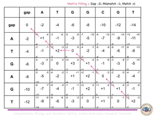 Computational Biology and Genomics Facility, Indian Veterinary Research Institute
gap A T G G C G T
gap 0 -2 -4 -6 -8 -10 -12 -14
A -2
+1 -4
+1
-4
-3 -6
-1
-1
-5 -8
-3
-3
-7 -10
-5
-5
-9 -12
-7
-7
-11 -14
-9
-9
-13 -16
-11
-11
T -4
-3 -1
-1
-6
+2 -3
+2
-3
-2 -5
0
0
-4 -7
-2
-2
-6 -9
-4
-4
-8 -11
-6
-6
-8 -13
-8
-8
G -6
-5 -3
-3
-8
-2 0
0
-5
+3 -2
+3
-2
+1 -4
+1
+1
-3 -6
-1
-1
-3 -8
-3
-3
-7 -10
-5
-5
A -8
-5 -5
-5
-10
-4 -2
-2
-7
-1 +1
+1
-4
+2 -1
+2
-1
0 -3
0
0
-2 -5
-2
-2
-4 -7
-4
-4
G -10
-9 -7
-7
-12
-6 -4
-4
-9
-1 -1
-1
-6
+2 0
+2
-3
+1 -2
+1
0
+1 -4
+1
-1
-3 -6
-1
-1
T -12
-11 -9
-9
-14
-6 -6
-6
-11
-5 -3
-3
-8
-2 0
0
-5
+1 -1
+1
-2
0 -1
0
-1
+2 -3
+2
-2
Matrix Filling - Gap -2; Mismatch -1; Match +1
 