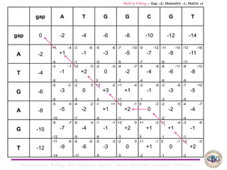 Computational Biology and Genomics Facility, Indian Veterinary Research Institute
gap A T G G C G T
gap 0 -2 -4 -6 -8 -10 -12 -14
A -2
+1 -4
+1
-4
-3 -6
-1
-1
-5 -8
-3
-3
-7 -10
-5
-5
-9 -12
-7
-7
-11 -14
-9
-9
-13 -16
-11
-11
T -4
-3 -1
-1
-6
+2 -3
+2
-3
-2 -5
0
0
-4 -7
-2
-2
-6 -9
-4
-4
-8 -11
-6
-6
-8 -13
-8
-8
G -6
-5 -3
-3
-8
-2 0
0
-5
+3 -2
+3
-2
+1 -4
+1
+1
-3 -6
-1
-1
-3 -8
-3
-3
-7 -10
-5
-5
A -8
-5 -5
-5
-10
-4 -2
-2
-7
-1 +1
+1
-4
+2 -1
+2
-1
0 -3
0
0
-2 -5
-2
-2
-4 -7
-4
-4
G -10
-9 -7
-7
-12
-6 -4
-4
-9
-1 -1
-1
-6
+2 0
+2
-3
+1 -2
+1
0
+1 -4
+1
-1
-3 -6
-1
-1
T -12
-11 -9
-9
-14
-6 -6
-6
-11
-5 -3
-3
-8
-2 0
0
-5
+1 -1
+1
-2
0 -1
0
-1
+2 -3
+2
-2
Matrix Filling - Gap -2; Mismatch -1; Match +1
 