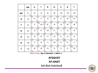 Computational Biology and Genomics Facility, Indian Veterinary Research Institute
ATGGCGT

AT-GAGT

1+1-2+1-1+1+1=+2
 