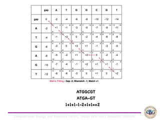 Computational Biology and Genomics Facility, Indian Veterinary Research Institute
ATGGCGT

ATGA-GT

1+1+1-1-2+1+1=+2
 