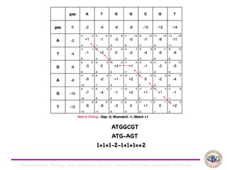 Computational Biology and Genomics Facility, Indian Veterinary Research Institute
ATGGCGT

ATG-AGT

1+1+1-2-1+1+1=+2
 