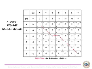 Computational Biology and Genomics Facility, Indian Veterinary Research Institute
ATGGCGT

ATG-AGT

1+1+1-2-1+1+1=+2
 