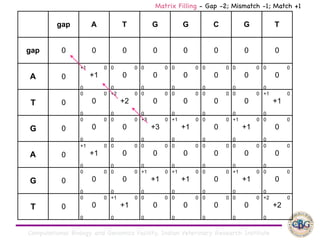 Computational Biology and Genomics Facility, Indian Veterinary Research Institute
gap A T G G C G T
gap 0 0 0 0 0 0 0 0
A 0
+1 0
+1
0
0 0
0
0
0 0
0
0
0 0
0
0
0 0
0
0
0 0
0
0
0 0
0
0
T 0
0 0
0
0
+2 0
+2
0
0 0
0
0
0 0
0
0
0 0
0
0
0 0
0
0
+1 0
+1
0
G 0
0 0
0
0
0 0
0
0
+3 0
+3
0
+1 0
+1
0
0 0
0
0
+1 0
+1
0
0 0
0
0
A 0
+1 0
+1
0
0 0
0
0
0 0
0
0
0 0
0
0
0 0
0
0
0 0
0
0
0 0
0
0
G 0
0 0
0
0
0 0
0
0
+1 0
+1
0
+1 0
+1
0
0 0
0
0
+1 0
+1
0
0 0
0
0
T 0
0 0
0
0
+1 0
+1
0
0 0
0
0
0 0
0
0
0 0
0
0
0 0
0
0
+2 0
+2
0
Matrix Filling - Gap -2; Mismatch -1; Match +1
 