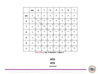 Computational Biology and Genomics Facility, Indian Veterinary Research Institute
ATG

ATG

1+1+1=+3
 