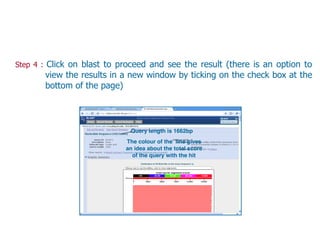 Query length is 1662bp
The colour of the line gives
an idea about the total score
of the query with the hit
Step 4 : Click on blast to proceed and see the result (there is an option to
view the results in a new window by ticking on the check box at the
bottom of the page)
 