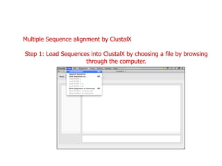 Multiple Sequence alignment by ClustalX
Step 1: Load Sequences into ClustalX by choosing a file by browsing
through the computer.
 