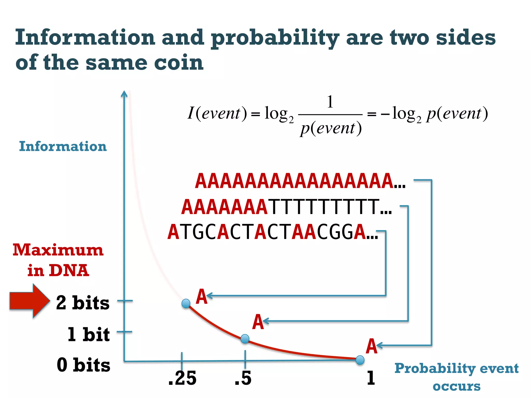 Information and probability are two sides
of the same coin
                                    1
                I(event) = log 2          = ! log 2 p(event)
                                 p(event)
Information

                AAAAAAAAAAAAAAAA…
               AAAAAAATTTTTTTTT…
              ATGCACTACTAACGGA…
Maximum
 in DNA
    2 bits       A
                         A
     1 bit
                                          A
    0 bits                                    Probability event
              .25     .5                  1       occurs
 