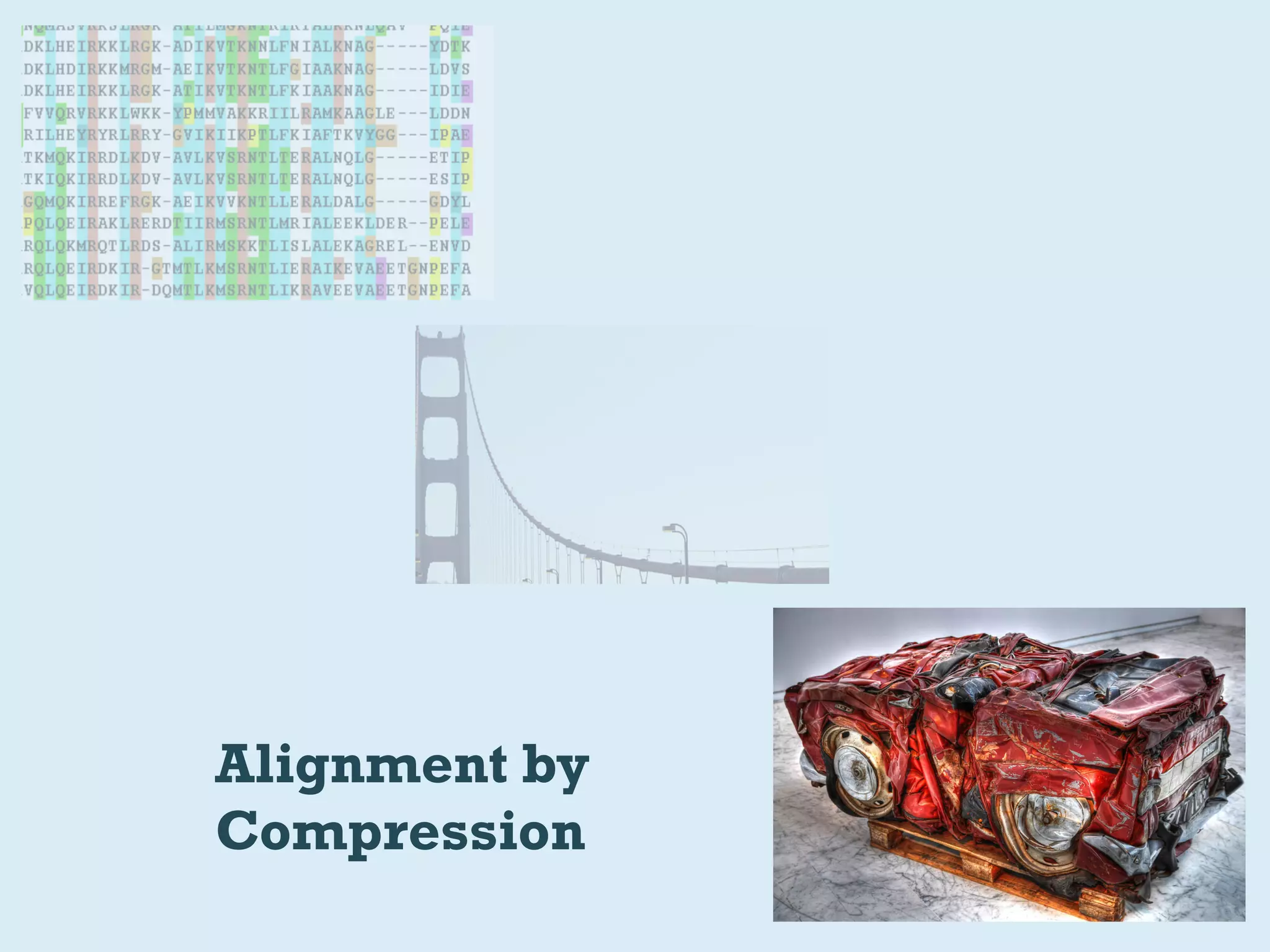 Alignment by
Compression
 