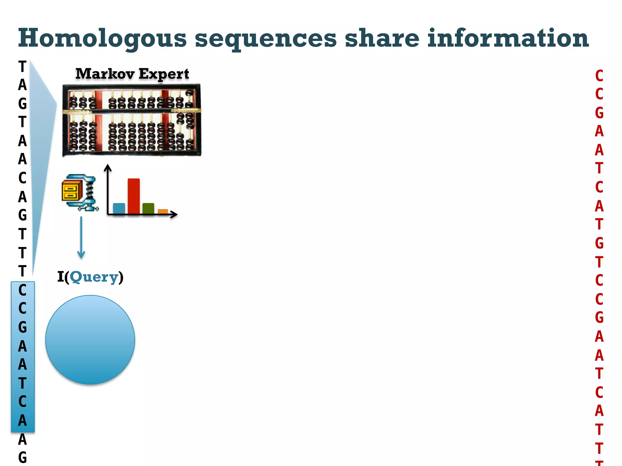 Homologous sequences share information
T     Markov Expert                      C
A
                                         C
G
                                         G
T
                                         A
A
                                         A
A
                                         T
C
                                         C
A
                                         A
G
                                         T
T
                                         G
T
                                         T
T   I(Query)                             C!
C
                                         C
C
                                         G
G
                                         A
A
                                         A
A
                                         T
T
                                         C
C
                                         A
A
                                         T
A
                                         T
G
 