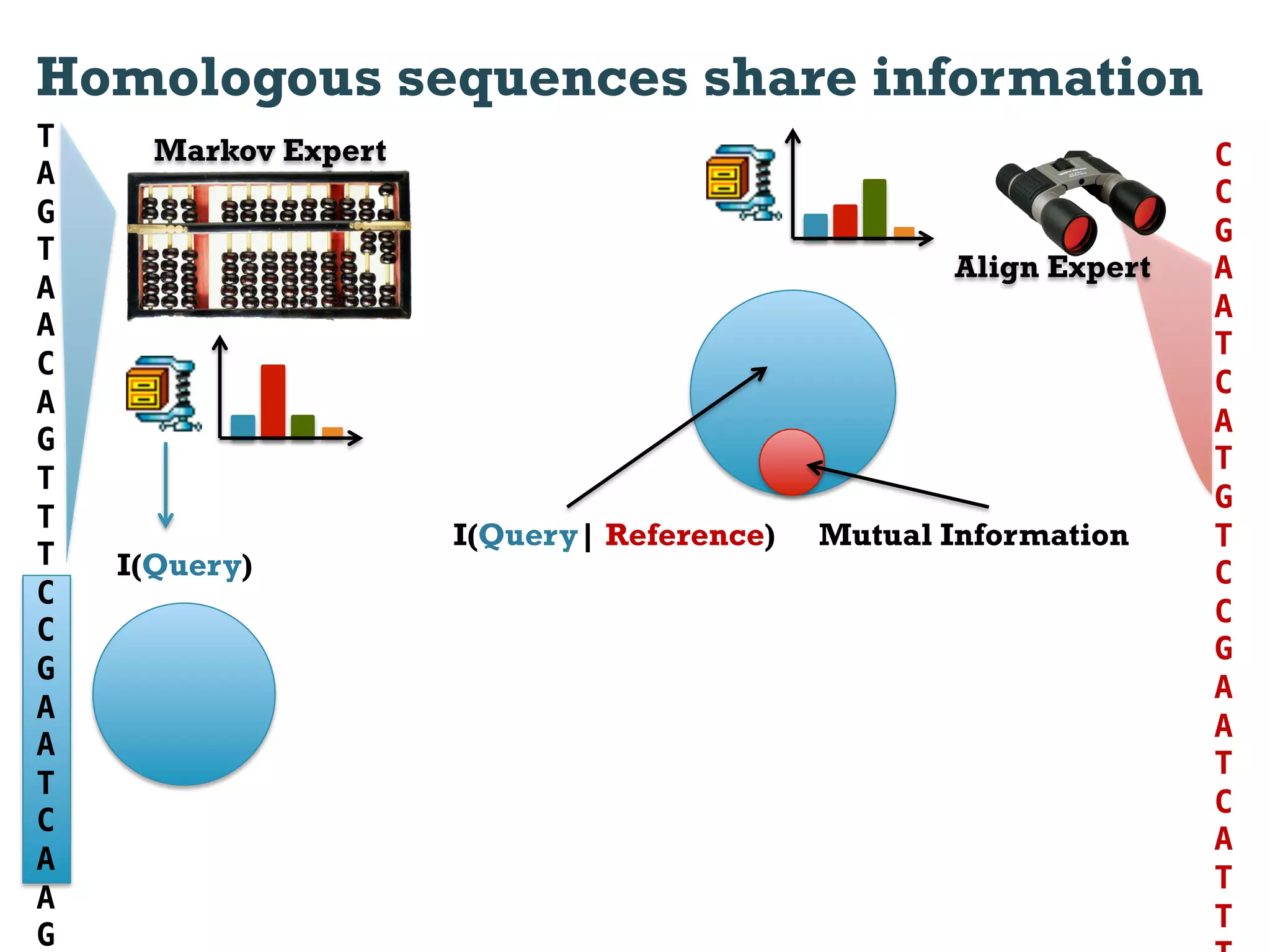Homologous sequences share information
T     Markov Expert                                               C
A
                                                                  C
G
                                                                  G
T
                                                   Align Expert   A
A
                                                                  A
A
                                                                  T
C
                                                                  C
A
                                                                  A
G
                                                                  T
T
                                                                  G
T
                      I(Query| Reference)   Mutual Information    T
T   I(Query)                                                      C!
C
                                                                  C
C
                                                                  G
G
                                                                  A
A
                                                                  A
A
                                                                  T
T
                                                                  C
C
                                                                  A
A
                                                                  T
A
                                                                  T
G
 