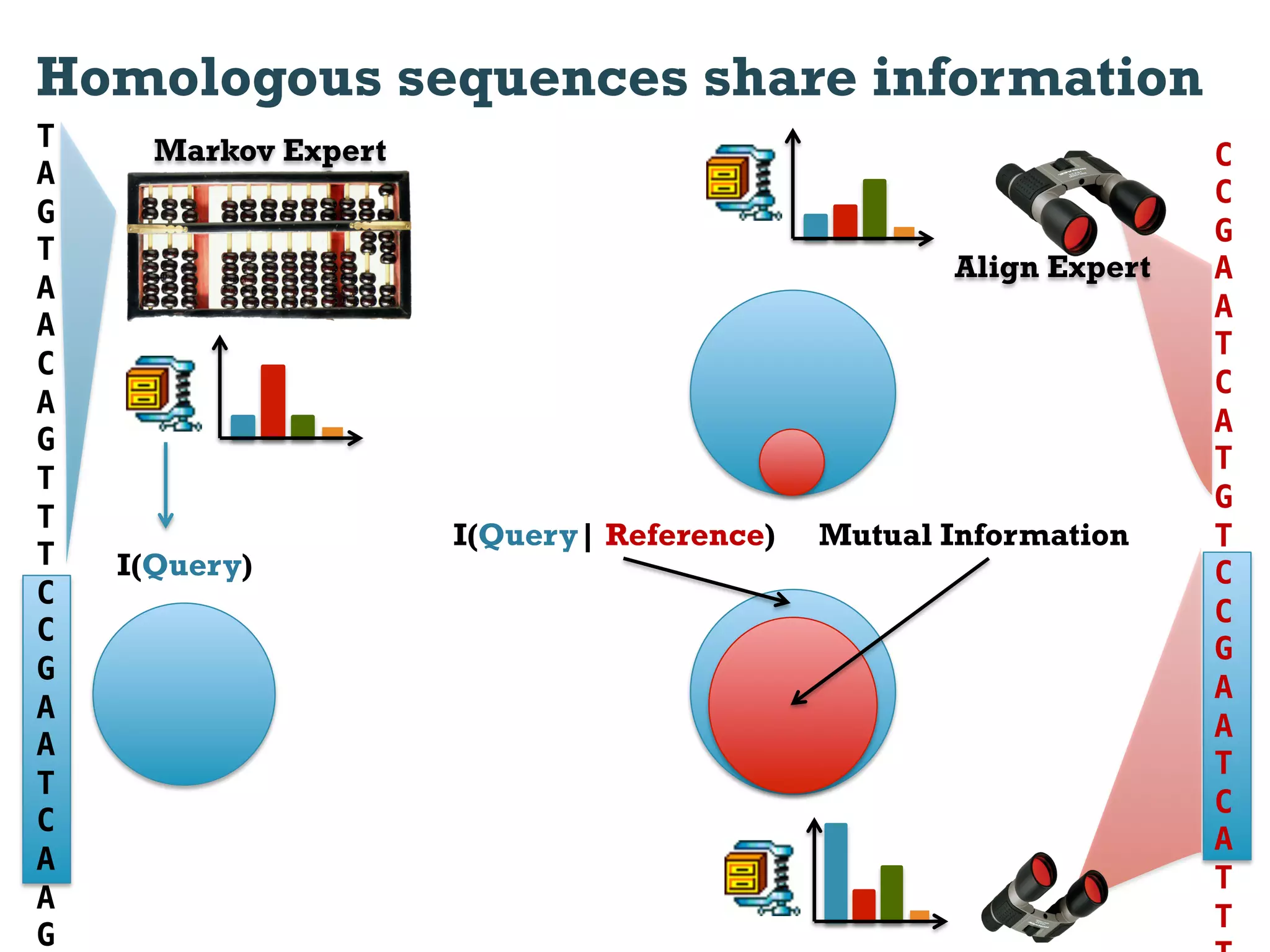 Homologous sequences share information
T     Markov Expert                                               C
A
                                                                  C
G
                                                                  G
T
                                                   Align Expert   A
A
                                                                  A
A
                                                                  T
C
                                                                  C
A
                                                                  A
G
                                                                  T
T
                                                                  G
T
                      I(Query| Reference)   Mutual Information    T
T   I(Query)                                                      C!
C
                                                                  C
C
                                                                  G
G
                                                                  A
A
                                                                  A
A
                                                                  T
T
                                                                  C
C
                                                                  A
A
                                                                  T
A
                                                                  T
G
 