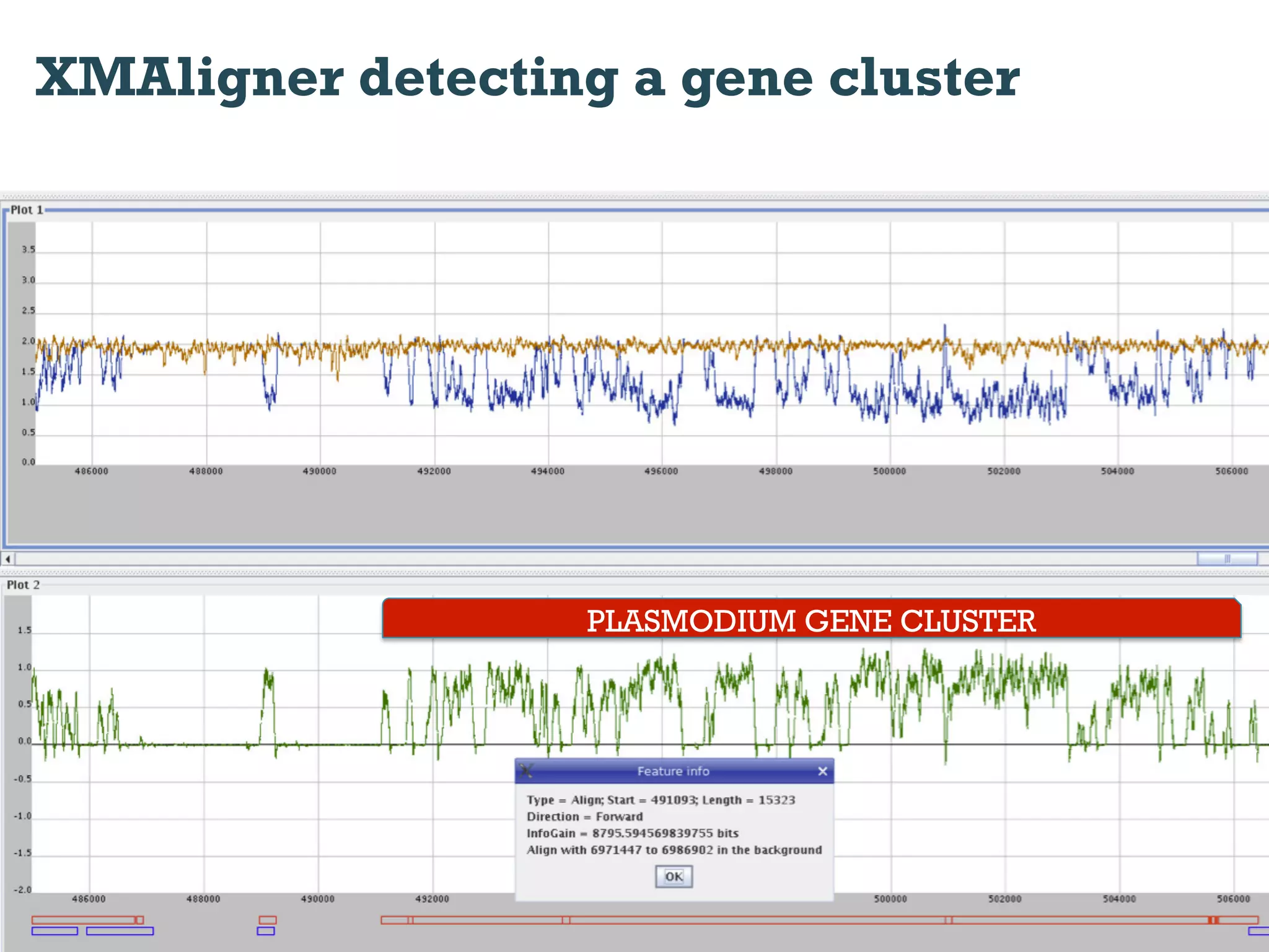 XMAligner detecting a gene cluster




                   PLASMODIUM GENE CLUSTER
 