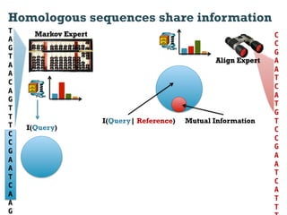 Homologous sequences share information
T     Markov Expert                                               C
A
                                                                  C
G
                                                                  G
T
                                                   Align Expert   A
A
                                                                  A
A
                                                                  T
C
                                                                  C
A
                                                                  A
G
                                                                  T
T
                                                                  G
T
                      I(Query| Reference)   Mutual Information    T
T   I(Query)                                                      C!
C
                                                                  C
C
                                                                  G
G
                                                                  A
A
                                                                  A
A
                                                                  T
T
                                                                  C
C
                                                                  A
A
                                                                  T
A
                                                                  T
G
 