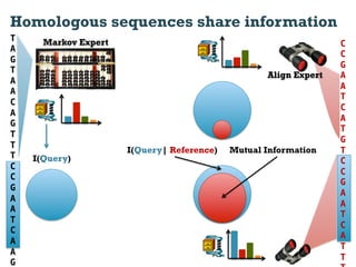 Homologous sequences share information
T     Markov Expert                                               C
A
                                                                  C
G
                                                                  G
T
                                                   Align Expert   A
A
                                                                  A
A
                                                                  T
C
                                                                  C
A
                                                                  A
G
                                                                  T
T
                                                                  G
T
                      I(Query| Reference)   Mutual Information    T
T   I(Query)                                                      C!
C
                                                                  C
C
                                                                  G
G
                                                                  A
A
                                                                  A
A
                                                                  T
T
                                                                  C
C
                                                                  A
A
                                                                  T
A
                                                                  T
G
 