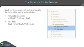 12
Look for these projects inside the Sample
Projects folder in the Materials Box:
• Template sequence:
pcDNA3.1 C-HA plus RaVC
• .Ab1 files:
RaVC Forward & RaVC Reverse
The Materials for the Exercise
 